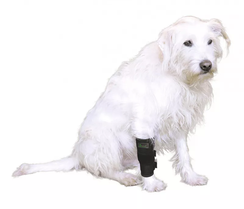 Vetlando Vorderbeinschutz XXXS